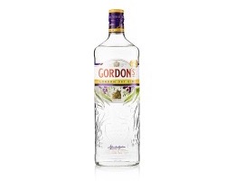 Gordons 50cl